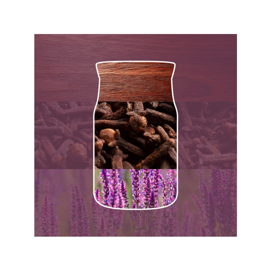 Yankee Candle - vela perfumada AUTUMN DAYDREAM grande 567g 60-90 horas