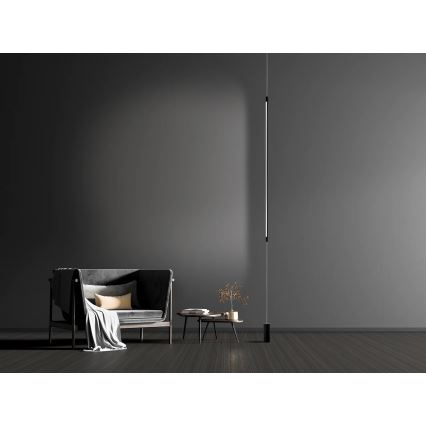 Zambelis 20184 - Lâmpada de pé LED LED/22W/230V