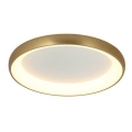 Zambelis 2042 - Iluminação de teto LED com regulação LED/30W/230V diâmetro 40 cm dourado