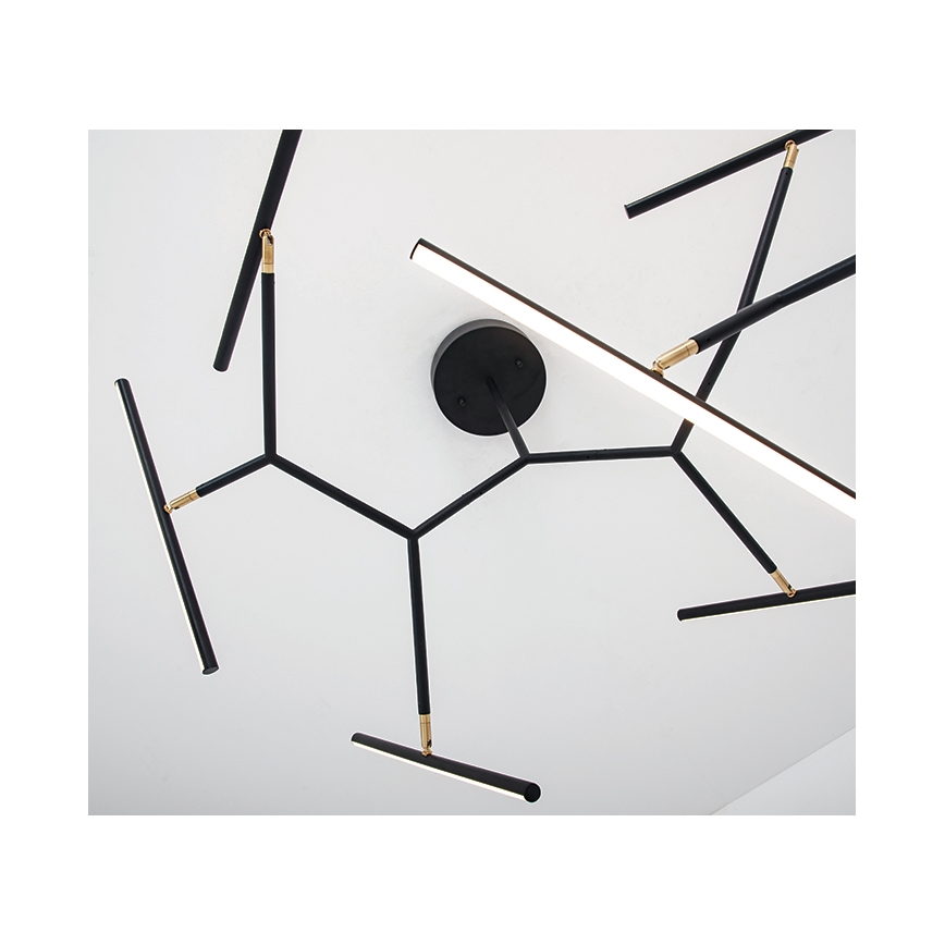 Zambelis 2072 - Candelabro suspenso LED com regulação LED/68W/230V preto