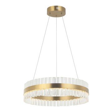Zambelis 22039 - Candelabro suspenso LED com regulação LED/56W/230V dourada