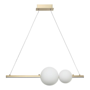 Zambelis 22108 - Lustre LED dimmerizável em cabo LED/11W/230V dourado