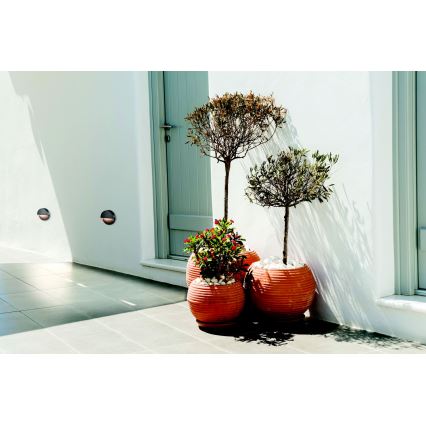 Zambelis E294 - Iluminação para escadas exteriores LED LED/2W/230V IP65 antracite