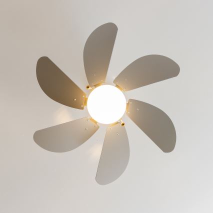 ZEVENTI - Ventilador de teto FAMARA 1xE14/60W/230V cinza