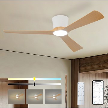 ZEVENTI - Ventilador de teto LED regulável AUREX LED/24W/230V 3000/4000/6000K Wi-Fi Tuya branco/carvalho + controlo remoto