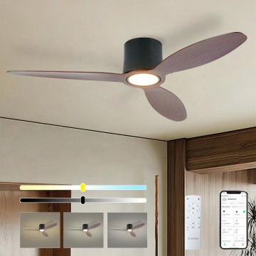 ZEVENTI - Ventilador de teto LED regulável VENTORA LED/24W/230V 3000/4000/6000K Wi-Fi Tuya preto/nogueira + controlo remoto