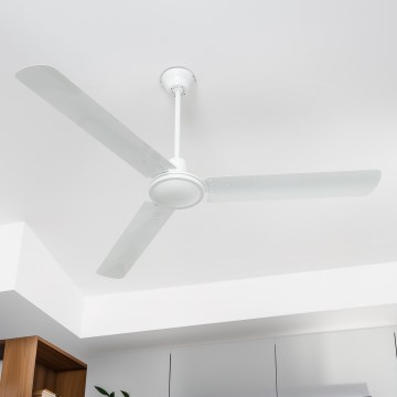 ZEVENTI - Ventilador de teto TOFINO branco