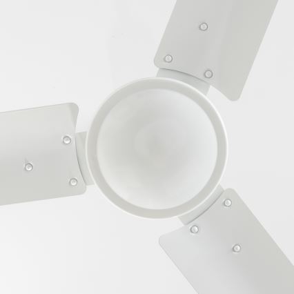ZEVENTI - Ventilador de teto TOFINO branco