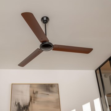 ZEVENTI - Ventilador de teto TOFINO castanho