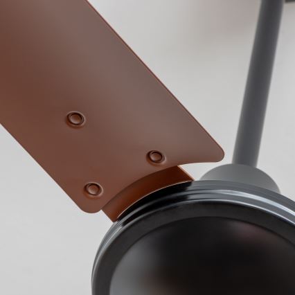 ZEVENTI - Ventilador de teto TOFINO castanho