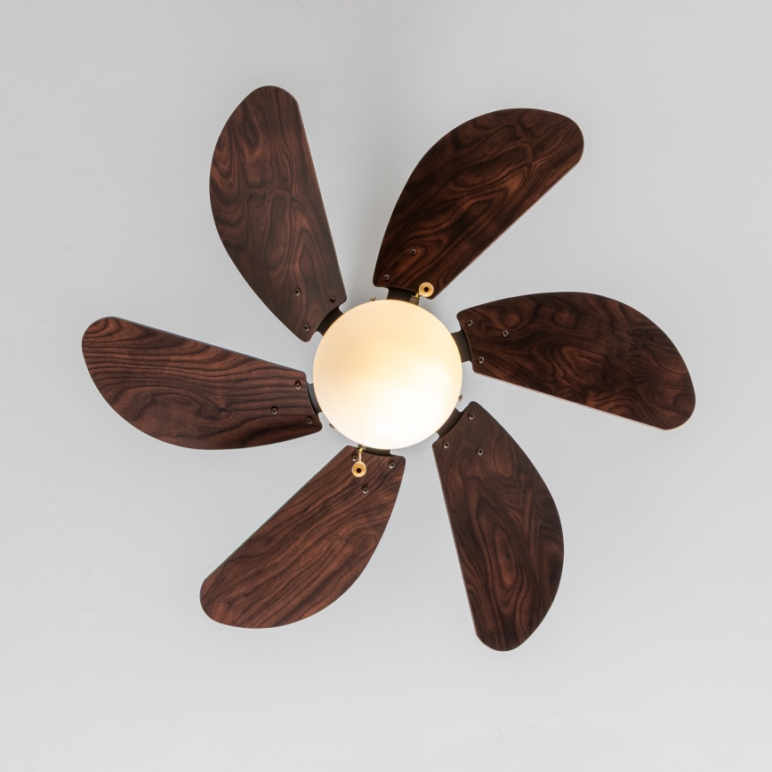 ZEVENTI - Ventoinha de teto FAMARA 1xE14/60W/230V