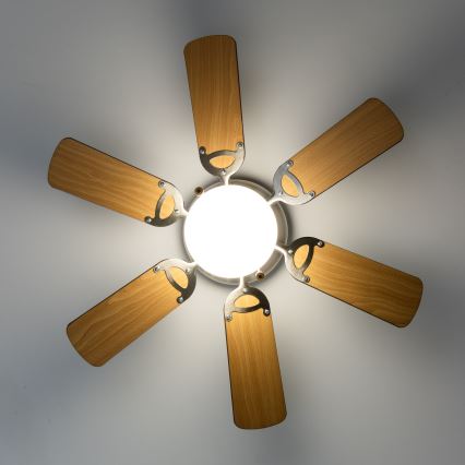 ZEVENTI - Ventoinha de teto GALDANA 1xE27/60W/230V castanho/bege