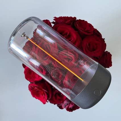 Zuma Line - Lâmpada de mesa recarregável LED dimmerizável LED/0,5W/230V preta IP54