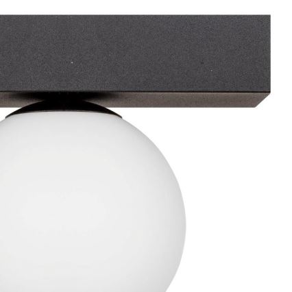 Zuma Line - Iluminação de teto 1xG9/8W/230V preto