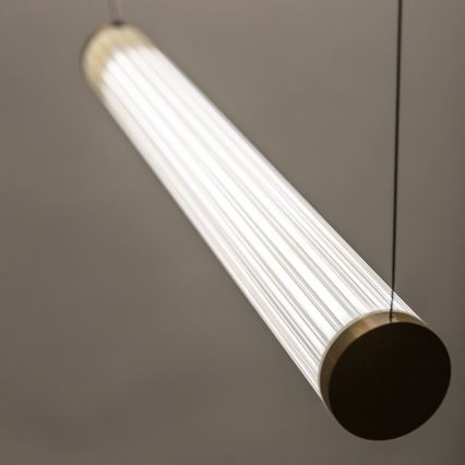 Zuma Line - Lustre LED dimerizável em cabo LED/64W/230V 2700-6500K dourado + controlo remoto