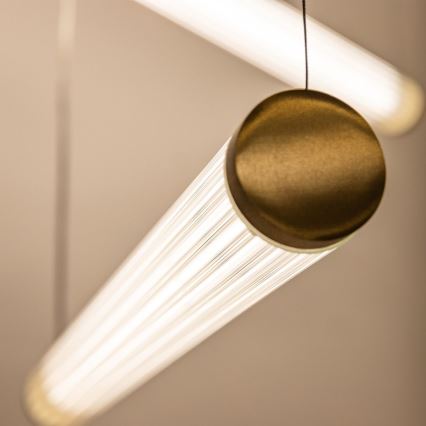 Zuma Line - Lustre LED dimerizável em cabo LED/64W/230V 2700-6500K dourado + controlo remoto