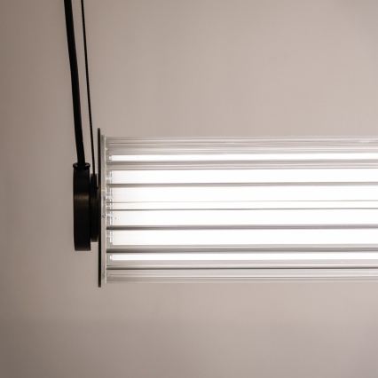 Zuma Line - Lustre LED regulável suspenso por cabo LED/39W/230V 2700-6500K preto + comando remoto