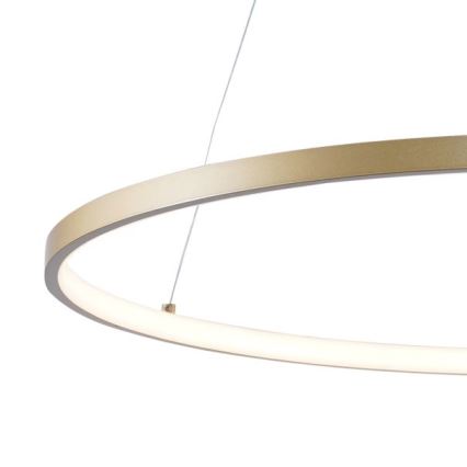 Zuma Line - Candeeiro suspenso LED LED/28W/230V 3000/4000/6000K diâmetro 60 cm dourado