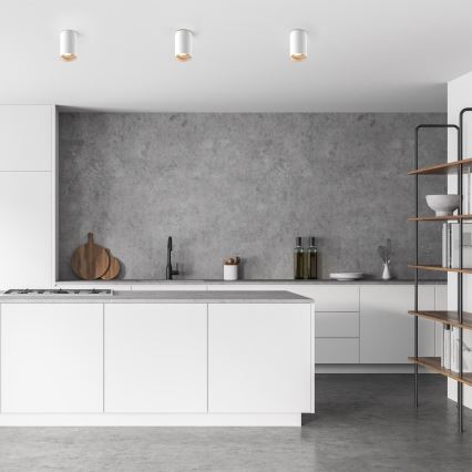 Zuma Line - Spot LED RGBW dimerizável 1xGU10/6W/230V branco + comando remoto