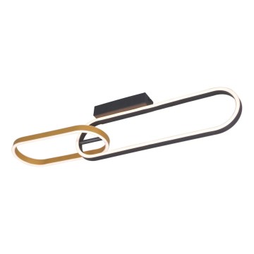 Zuma Line - Candeeiro de tecto LED 2xLED/24W/230V preto/dourado