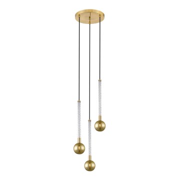 Zuma Line - Candeeiro suspenso 3xG9/6W/230V latão