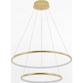Zuma Line - Candeeiro suspenso LED LED/40W/230V dourado