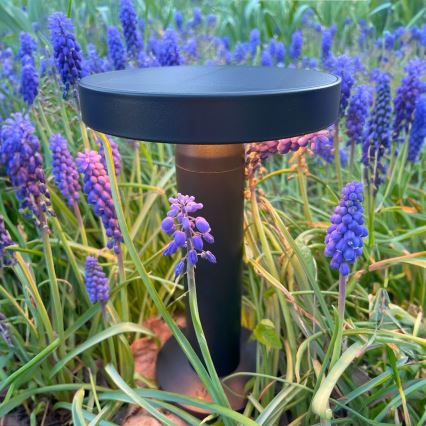 Zuma Line - Lâmpada de mesa solar recarregável LED dimmerizável LED/2W/2000 mAh IP44 preta