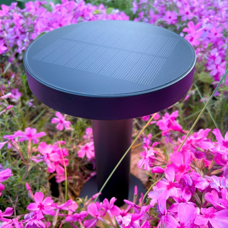 Zuma Line - Lâmpada de mesa solar recarregável LED dimmerizável LED/2W/2000 mAh IP44 preta