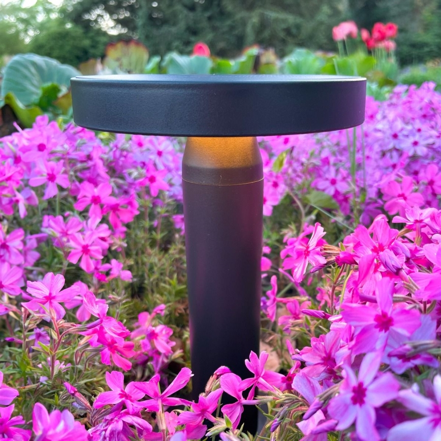 Zuma Line - Lâmpada de mesa solar recarregável LED dimmerizável LED/2W/2000 mAh IP44 preta