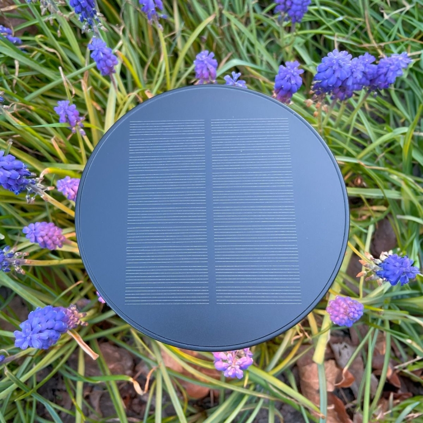 Zuma Line - Lâmpada de mesa solar recarregável LED dimmerizável LED/2W/2000 mAh IP44 preta