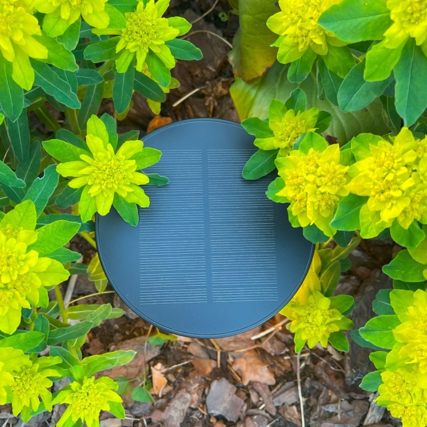 Zuma Line - Lâmpada de mesa solar recarregável LED dimmerizável LED/2W/2000 mAh IP44 preta