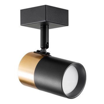 Zuma Line - Foco de parede 1xGU10/50W/230V preto/dourado