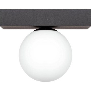 Zuma Line - Iluminação de teto 1xG9/8W/230V preto