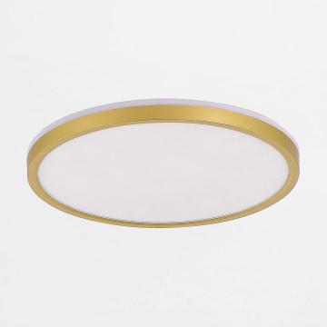 Zuma Line - Iluminação de teto LED com regulação LED/38W/230V + LED/11W 3000/4000/5500K diâmetro 50 cm dourado