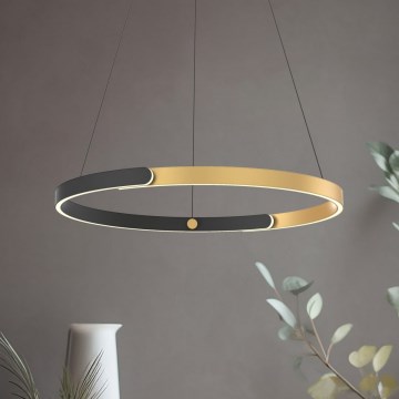 Zuma Line - Lustre LED dimmerável suspenso em cabo LED/30W/230V preto/dourado