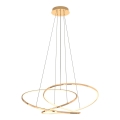 Zuma Line - Lustre LED dimmerizável com cabo LED/56W/230V dourado
