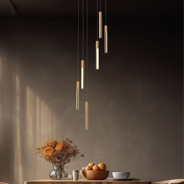 Zuma Line - Lustre LED regulável com cabo LED/25W/230V