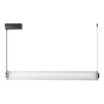 Zuma Line - Lustre LED regulável suspenso por cabo LED/39W/230V 2700-6500K preto + comando remoto