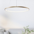 Zuma Line - Lustre LED suspenso em cabo LED/36W/230V 3000/4000/6000K diâmetro 80 cm dourado