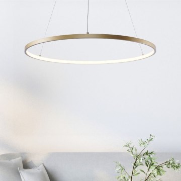 Zuma Line - Lustre LED suspenso em cabo LED/36W/230V 3000/4000/6000K diâmetro 80 cm dourado