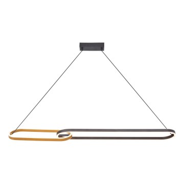 Zuma Line - Lustre LED suspenso por cabo 2xLED/40W/230V preto/dourado