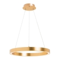 Zuma Line - Lustre LED suspenso por cabo LED/30W/230V 40 cm dourado