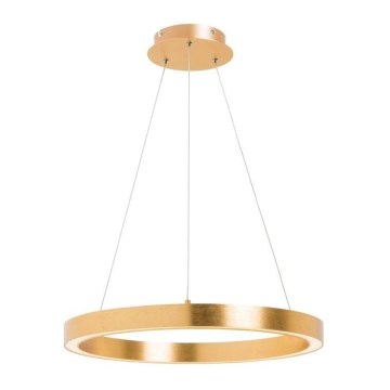 Zuma Line - Lustre LED suspenso por cabo LED/40W/230V Ø 50 cm dourado