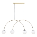 Zuma Line - Lustre suspenso por cabo 4xE14/10W/230V dourado
