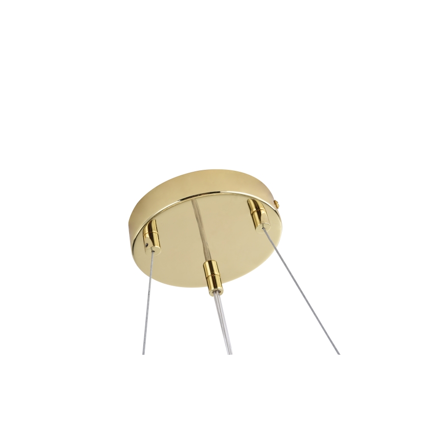 Zuma Line - Lustre suspenso por cabo 6x G9/42W/230V Ø 74 cm dourado