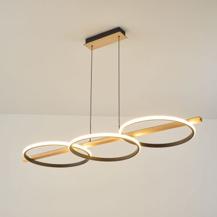 Zuma Line - Lustre LED regulável com cabo LED/35W/230V