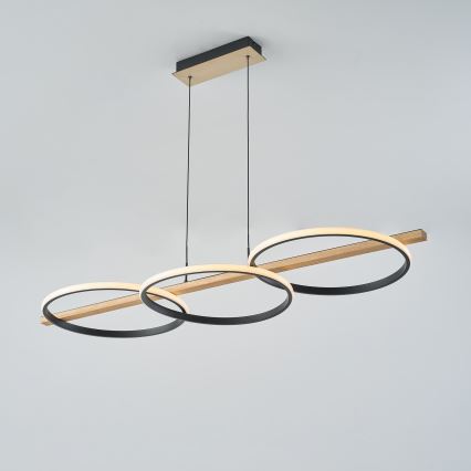 Zuma Line - Lustre LED regulável com cabo LED/35W/230V