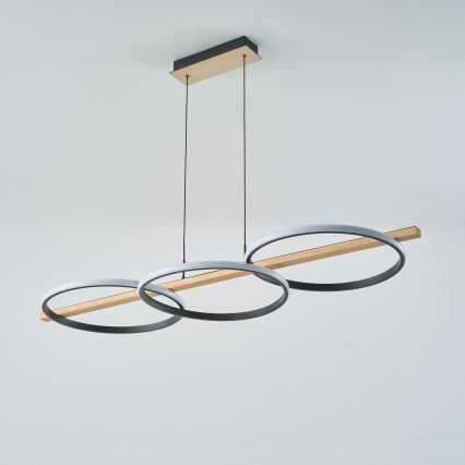 Zuma Line - Lustre LED regulável com cabo LED/35W/230V