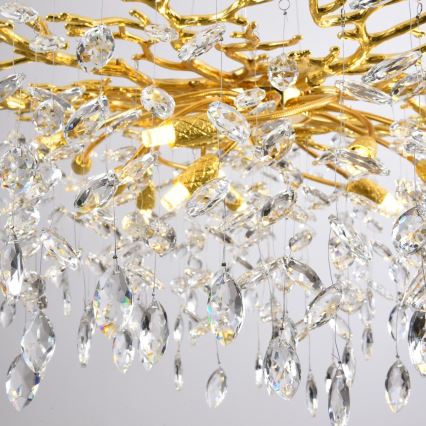 Zuma Line - Lustre suspenso por cabo 14xG9/3,5W/230V Ø 100 cm dourado