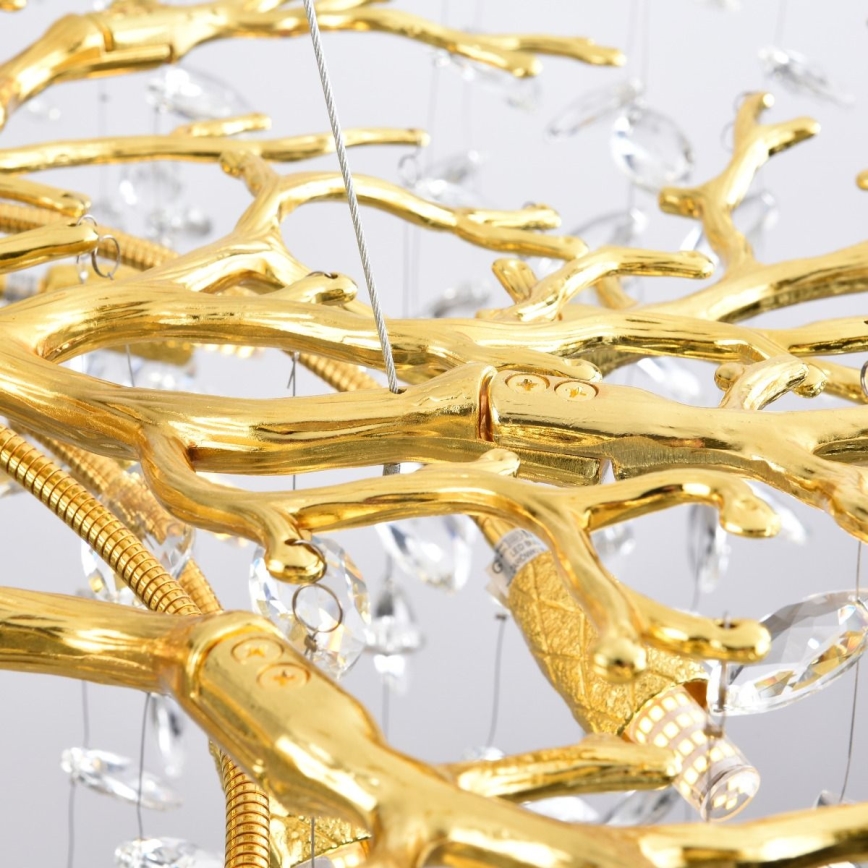 Zuma Line - Lustre suspenso por cabo 14xG9/3,5W/230V Ø 100 cm dourado